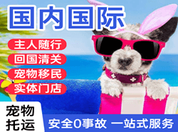 浦东航空空运国际宠物托运 【国